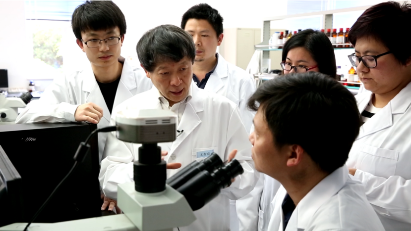 原创聚焦超声治疗技术 让病人受伤害更小——王智彪教授入选2020“重庆英才·优秀科学家”