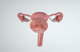 卵巢囊肿是怎么来的？会影响怀孕吗？
